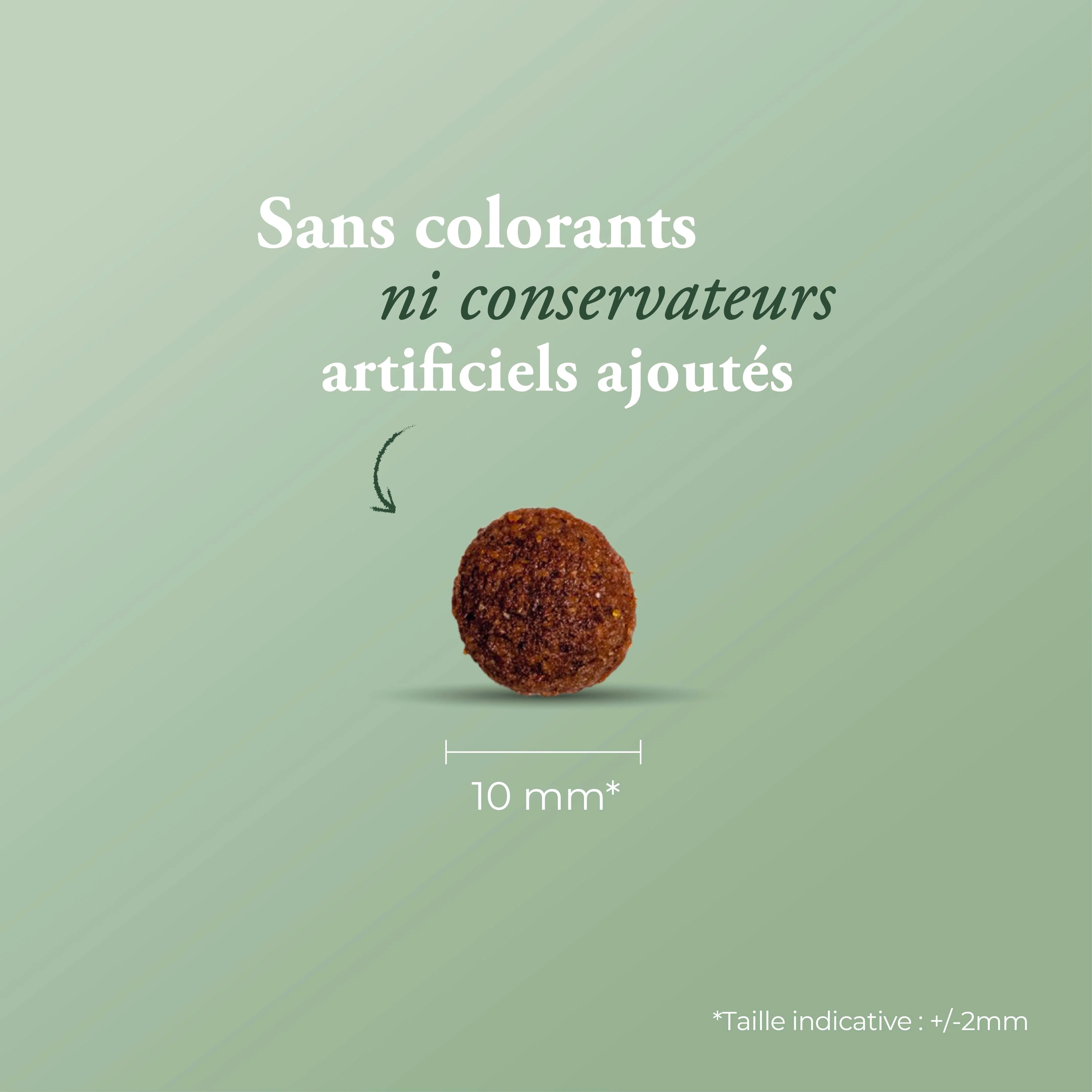 Miniature 2