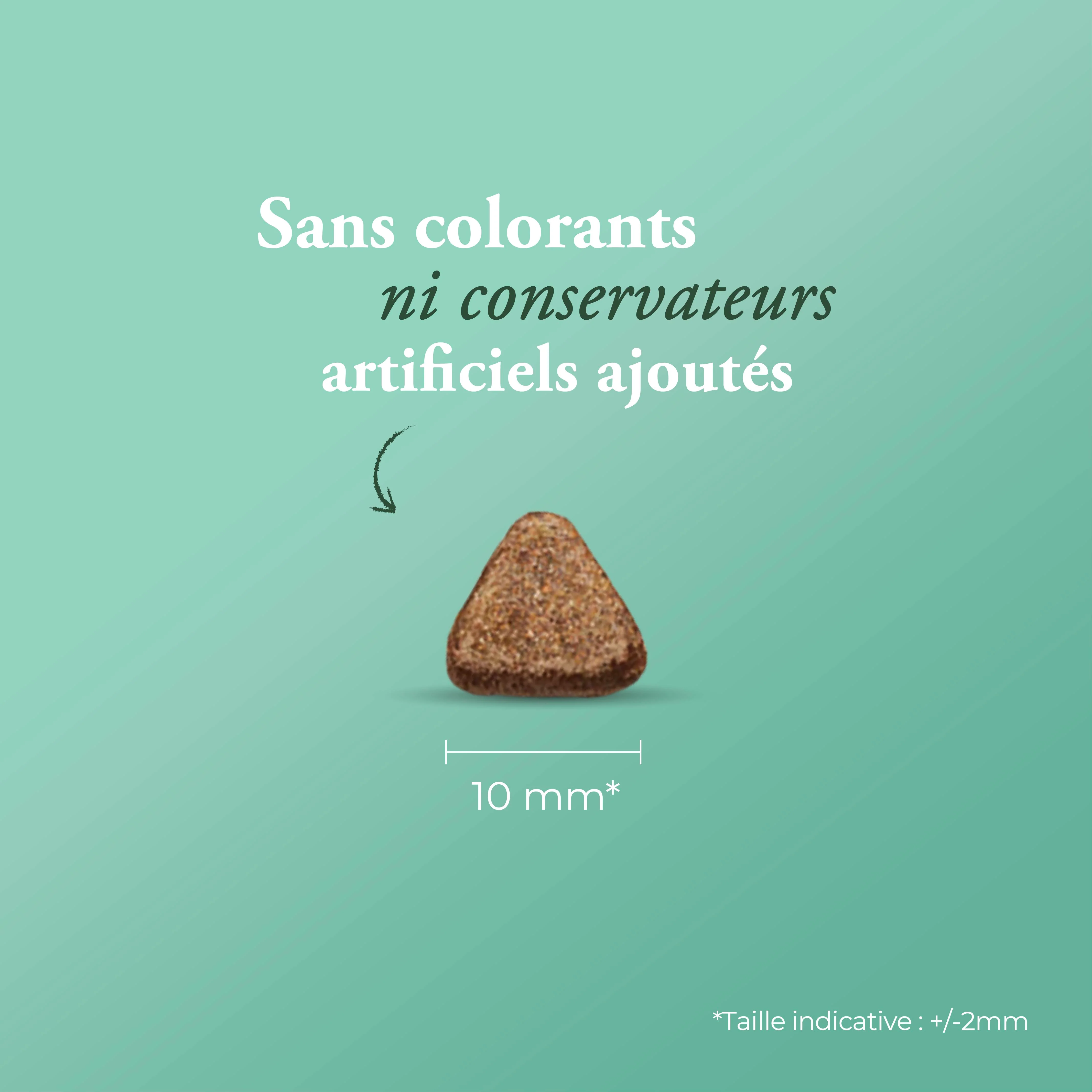 Miniature 2