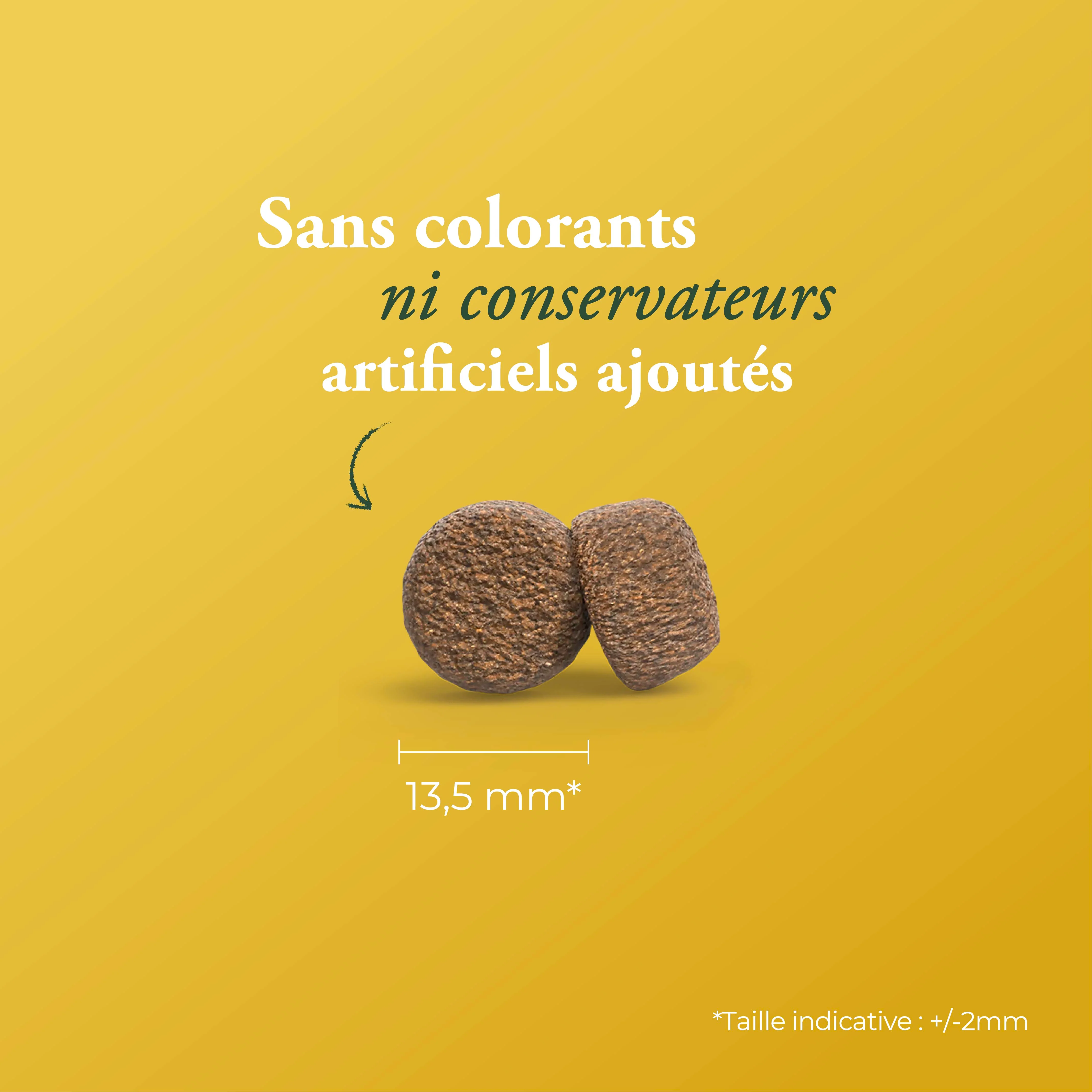 Miniature 2