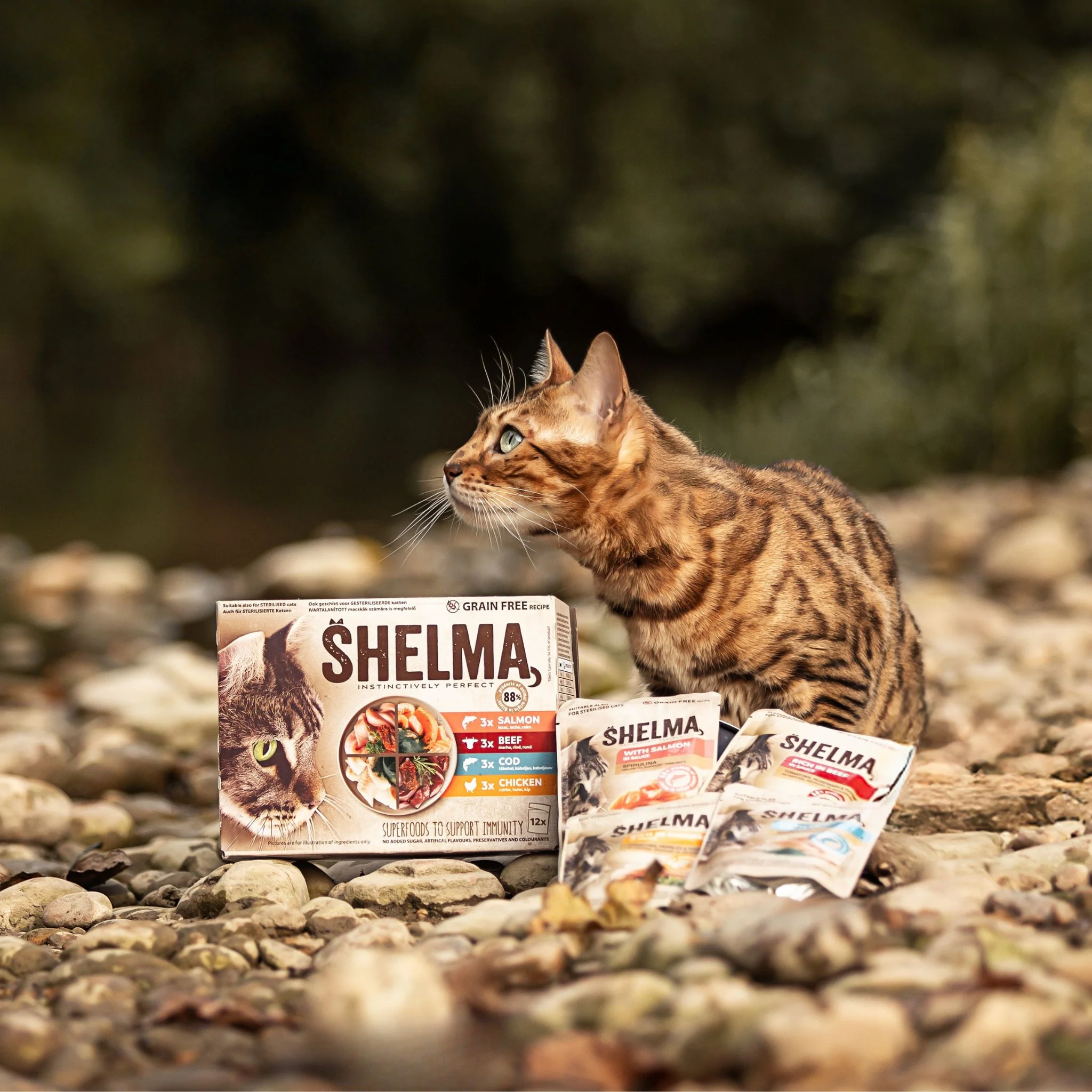 Miniature 2